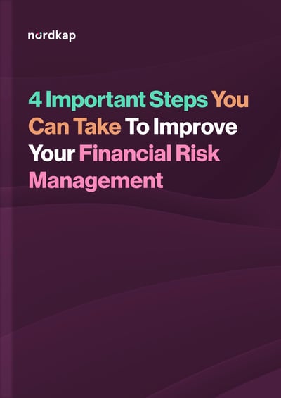 4-important-steps-you-can-take-to-improve-your-financial-risk-management (2)